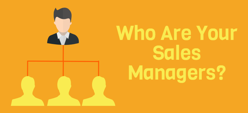 Sales Manager Job Description